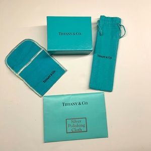 Tiffany & Co. - signature blue accessory bags